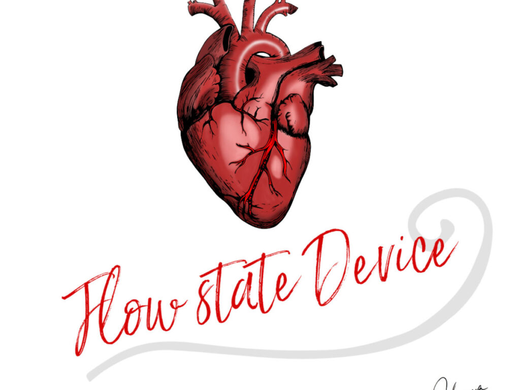 flow state device: text under anatomically correct heart drawing ©JOhanna Ringe www.johannaringe.com